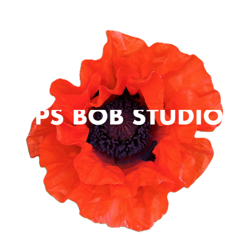PS BOB STUDIO GIFT CARD
